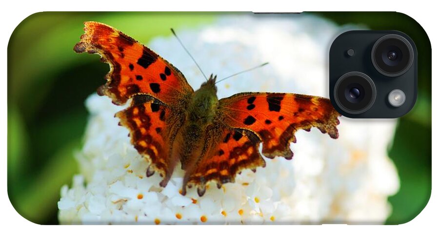 Comma iPhone Case featuring the photograph Comma Butterfly by David Birchall