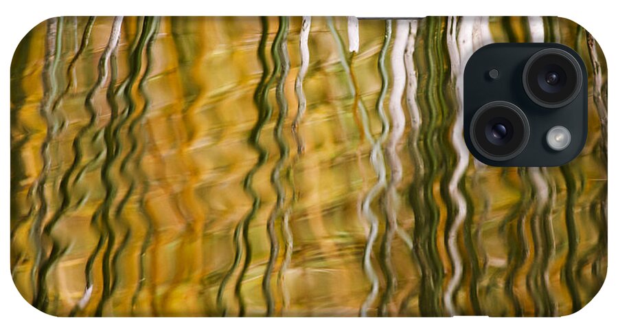 Heike Odermatt iPhone Case featuring the photograph Common Reed Reflecting In Water by Heike Odermatt