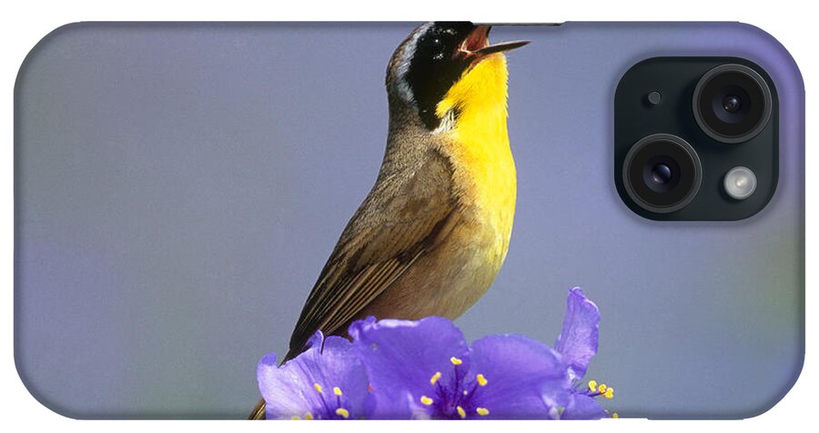Animal iPhone Case featuring the photograph Common Yellowthroat by Steve and Dave Maslowski