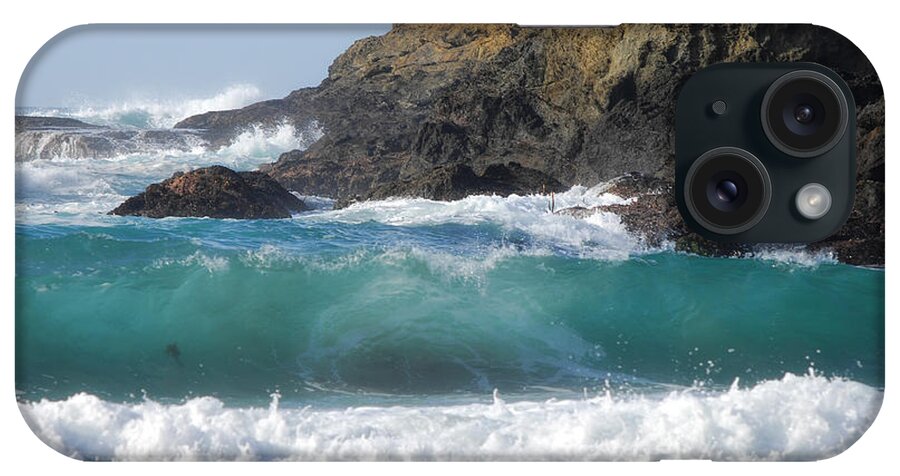 Mendocino iPhone Case featuring the photograph Complexity by Donna Blackhall