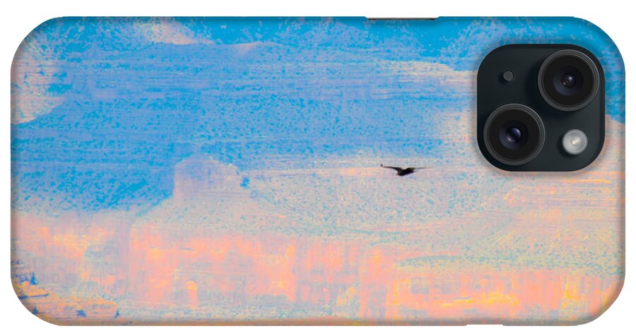 Grand iPhone Case featuring the photograph Condor Series E by Cheryl McClure