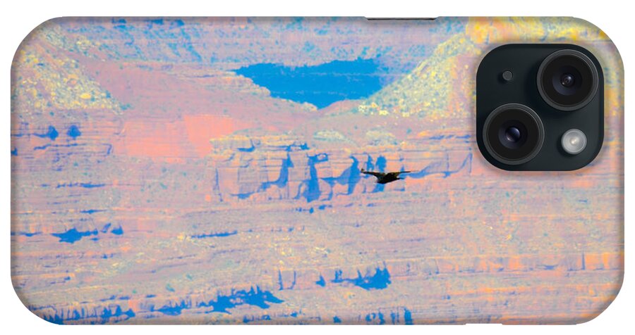 Grand iPhone Case featuring the photograph Condor Series F by Cheryl McClure