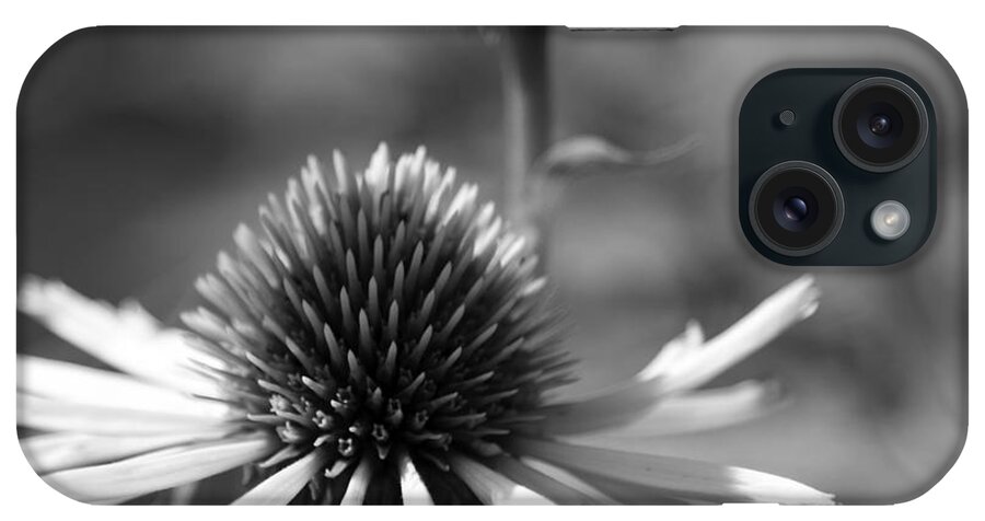Cone Flower iPhone Case featuring the photograph Cone Flower by Mary Underwood