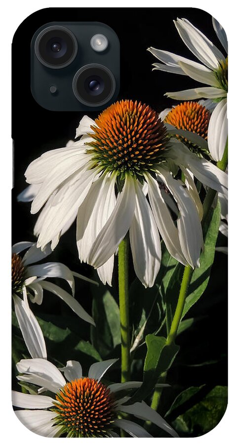 Flowers iPhone Case featuring the photograph Cone Flowers by Robert Mitchell