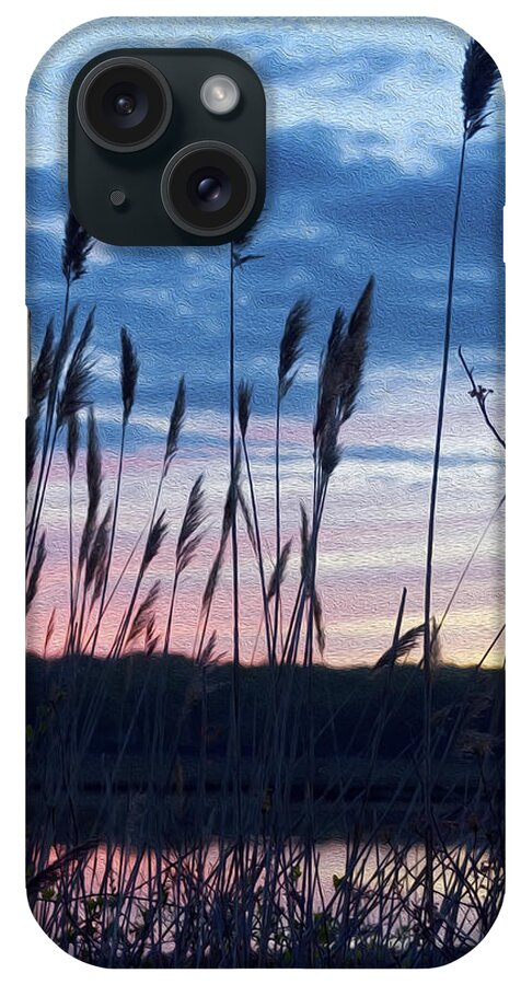 Sunset iPhone Case featuring the photograph Connecticut Sunset with Reeds and Swirls by Marianne Campolongo