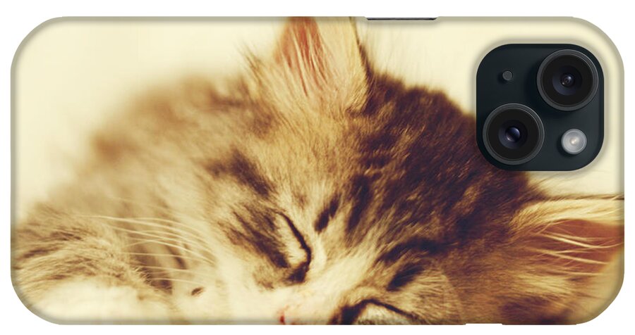 Kitten iPhone Case featuring the photograph Content Kitty by Pam Holdsworth