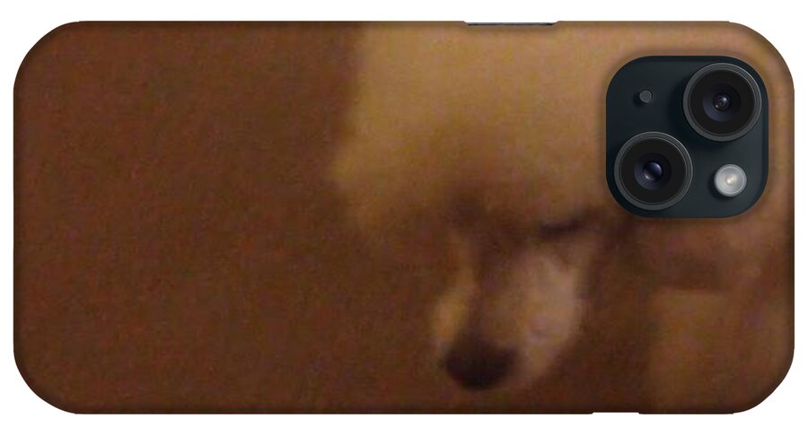 Petstagram iPhone Case featuring the photograph #cookie The #poodle #jared The by Julia Kellis