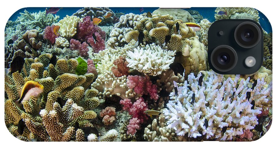 Pete Oxford iPhone Case featuring the photograph Coral Reef Diversity Fiji by Pete Oxford