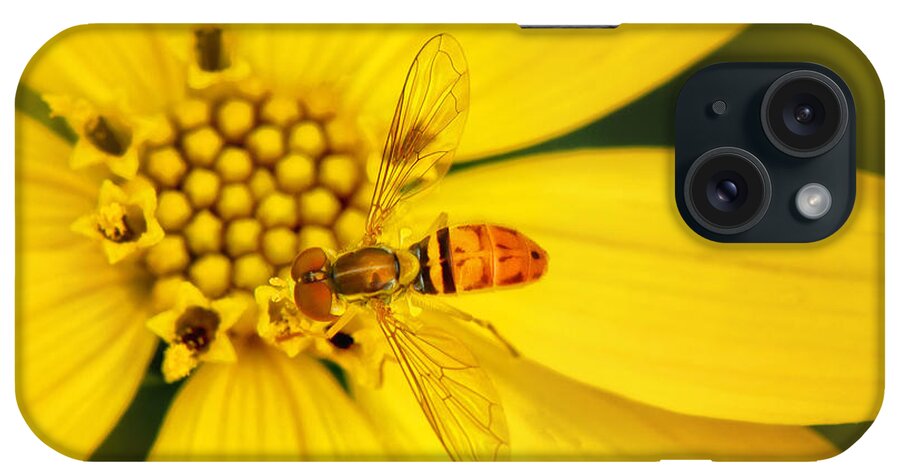 Coreopsis And Hoverfly iPhone Case featuring the photograph Coreopsis and hoverfly by Carolyn Derstine