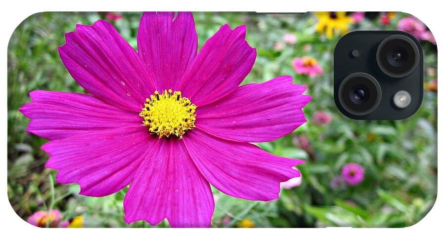 Cosmos iPhone Case featuring the photograph Cosmos in the Wild Garden by MTBobbins Photography