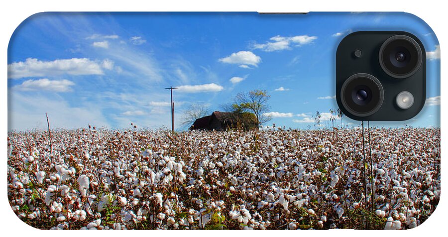 Cloud iPhone Case featuring the photograph Cotton field under cotton clouds by Andy Lawless