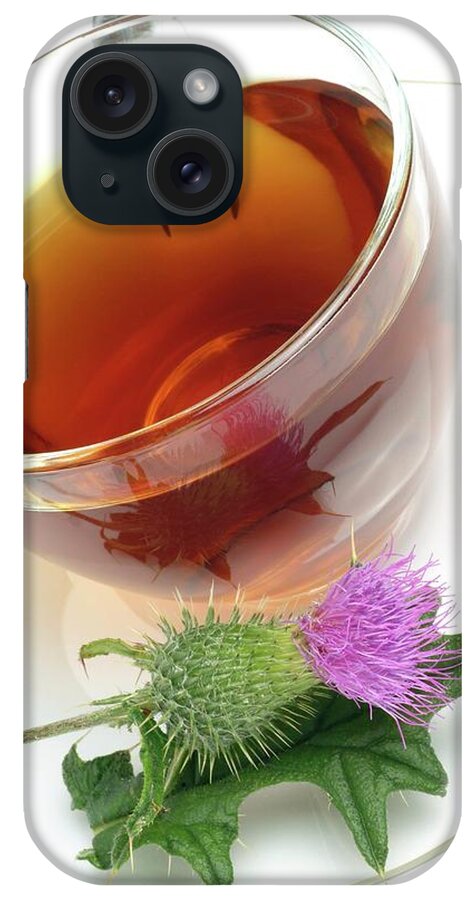 Cotton Thistle iPhone Case featuring the photograph Cotton Thistle Herbal Tea by Bildagentur-online/th Foto/science Photo Library