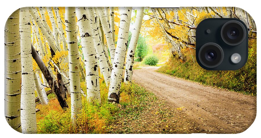 Scenics iPhone Case featuring the photograph Country Road Through Canopy Of Autumn by Dszc