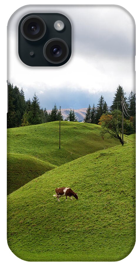 Simmental Cattle iPhone Case featuring the photograph Cow Grazing On Alp by Pidjoe