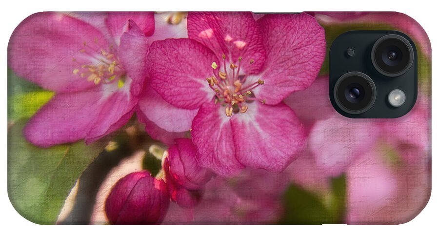 Jemmy Archer iPhone Case featuring the photograph Crabtree Blossoms by Jemmy Archer