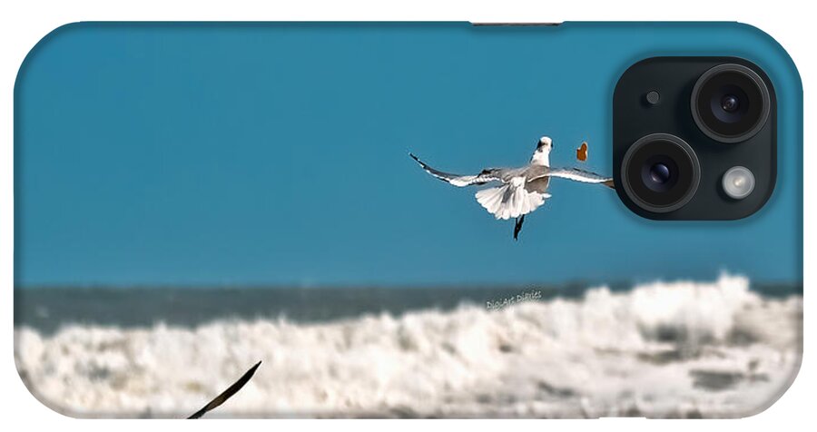 Seagulls iPhone Case featuring the photograph Cracker Tracker by DigiArt Diaries by Vicky B Fuller