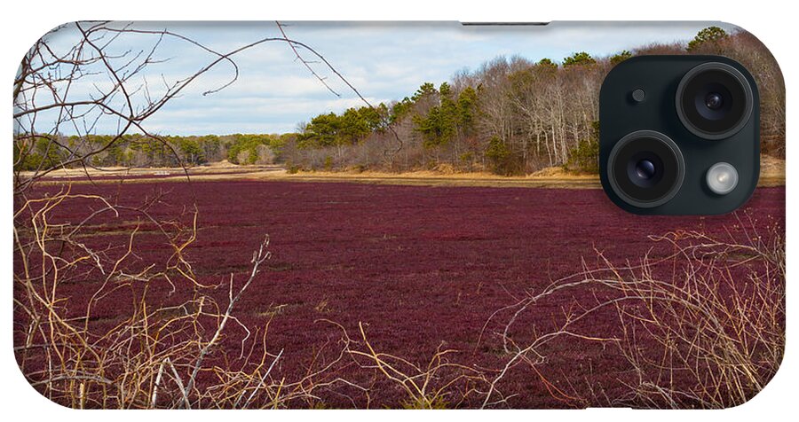 Cranberry Fields Forever iPhone Case featuring the photograph Cranberry Fields Forever by Michelle Constantine
