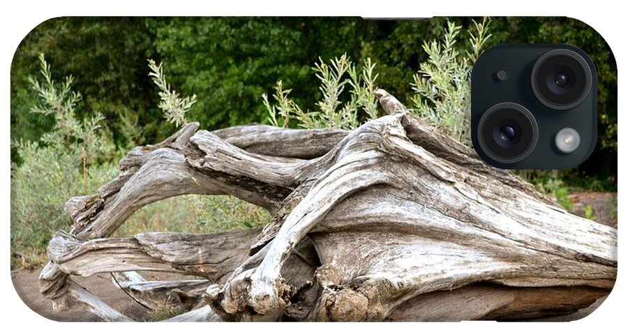 Driftwood iPhone Case featuring the photograph Cranial Drift by Laureen Murtha Menzl