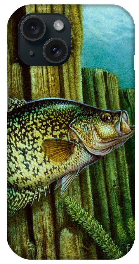Jon Q Wright iPhone Case featuring the painting Crappie and Posts by JQ Licensing