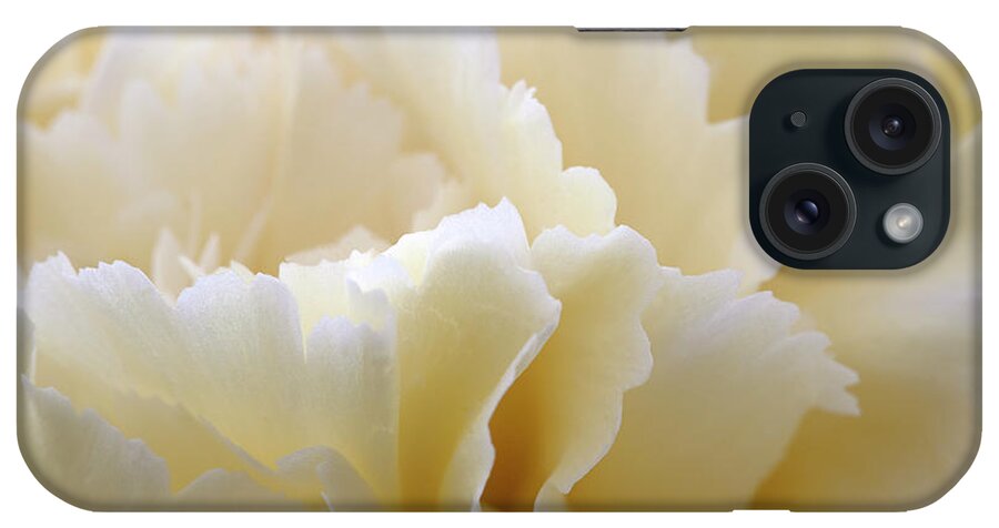 Netherlands iPhone Case featuring the photograph Cream Coloured Carnation, Close-up by Roel Meijer