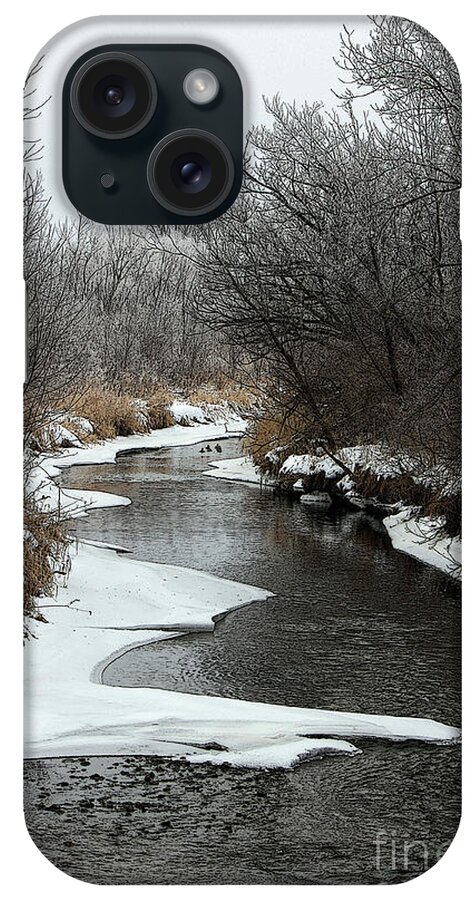  iPhone Case featuring the photograph Creek Mood by Debbie Hart