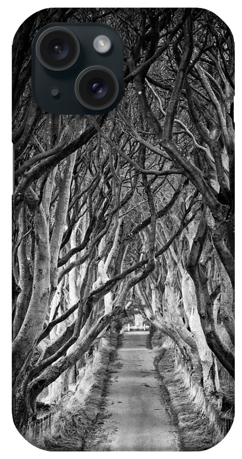 Dark Hedges iPhone Case featuring the photograph Creepy Dark Hedges by Nigel R Bell
