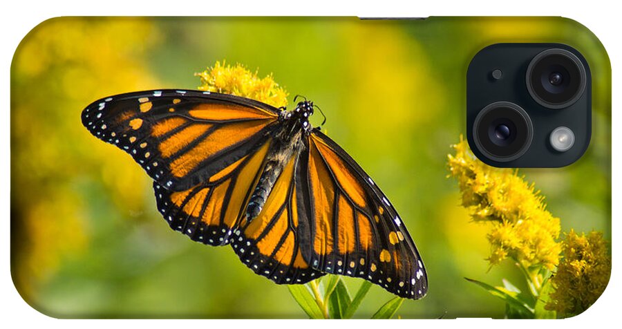 Macro iPhone Case featuring the photograph Crepe Wings by Bill Pevlor