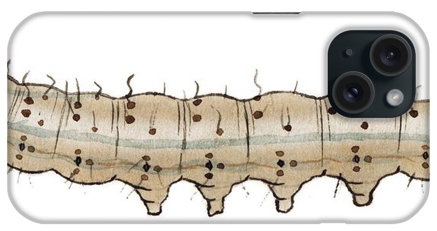 White Background iPhone Case featuring the photograph Crescent Caterpillar by Mikkel Juul Jensen