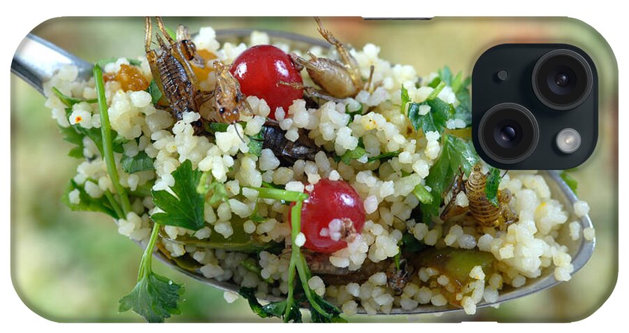 Insect iPhone Case featuring the photograph Cricket Couscous by Emilio Scoti