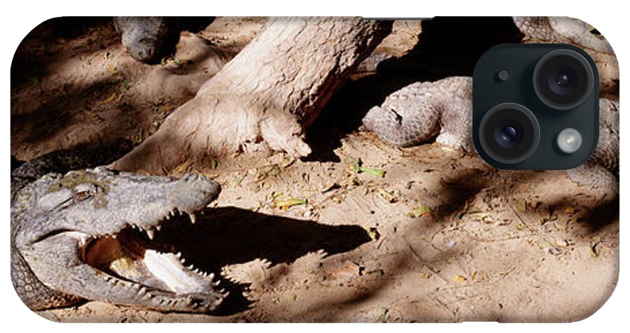 Photography iPhone Case featuring the photograph Crocodiles In A Zoo, Tamil Nadu, India by Animal Images