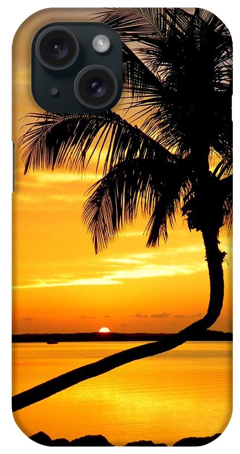 Palm Silhouettes iPhone Case featuring the photograph Crooked Palm by Karen Wiles
