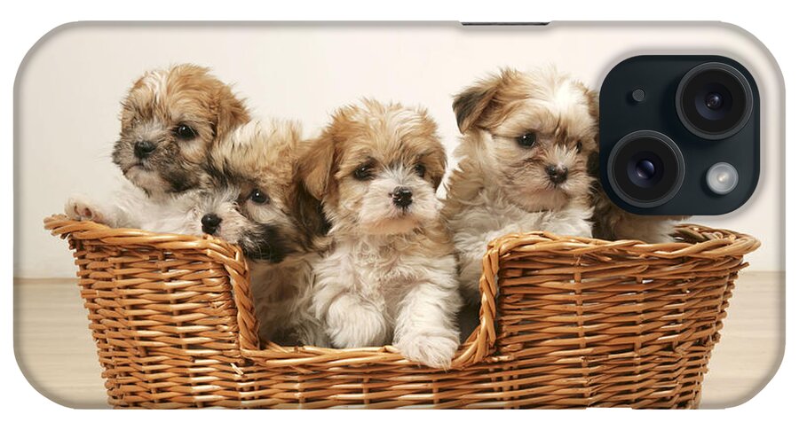 Dog iPhone Case featuring the photograph Cross Breed Puppies, Five In Basket by John Daniels