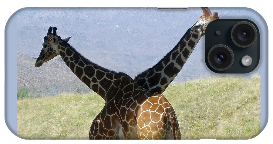 2 Giraffes iPhone Case featuring the photograph Crossed Giraffes by Phyllis Kaltenbach