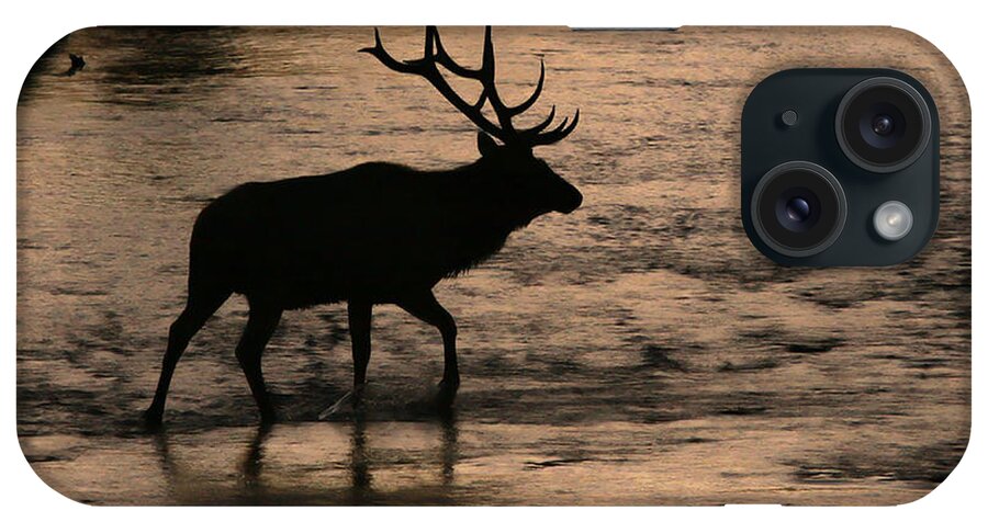 Elk iPhone Case featuring the photograph Crossing the Madison by Clare VanderVeen