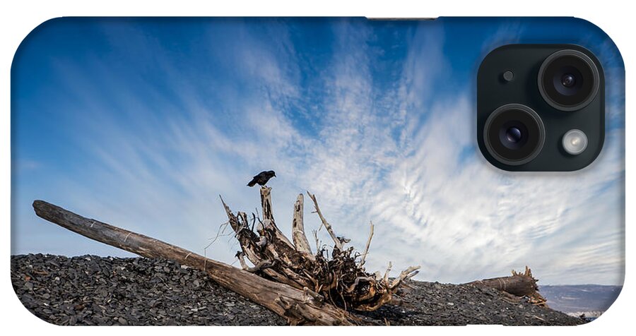 Beach iPhone Case featuring the photograph Crow on Driftwood by Michele Cornelius