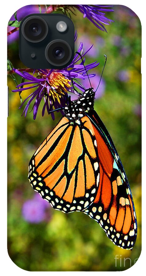 Diane Berry iPhone Case featuring the photograph Custom Butterfly Waltz by Diane E Berry