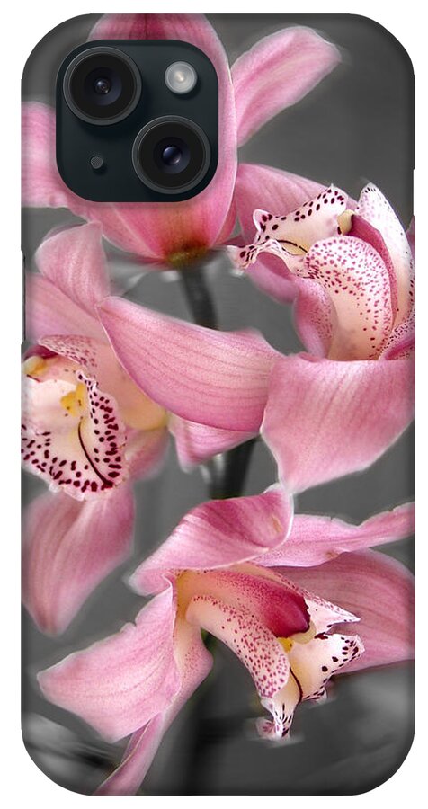 Flowers iPhone Case featuring the photograph Cymbidium Orchid Pink III Still Life Flower Art Poster by Lily Malor