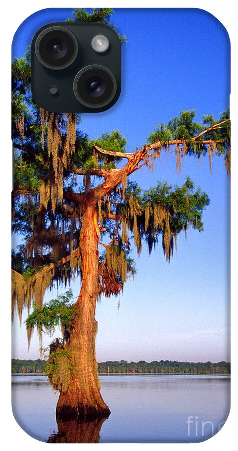 St Martin Parish iPhone Case featuring the photograph Cypress Tree Draped in Spanish Moss by Thomas R Fletcher