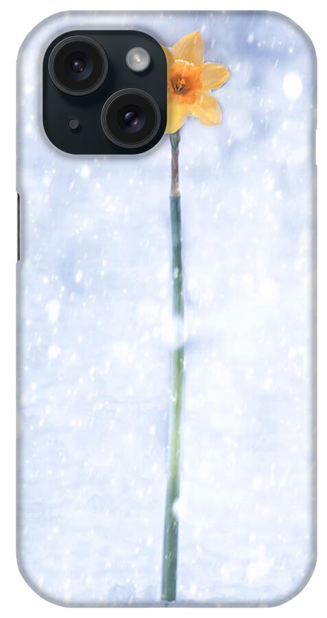 Daffodil iPhone Case featuring the photograph Daffodil In Snow by Joana Kruse
