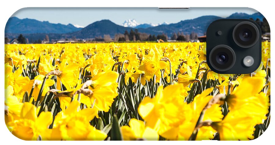 Daffodils iPhone Case featuring the photograph Daffodils and Snow-capped Mountains by Judy Wright Lott