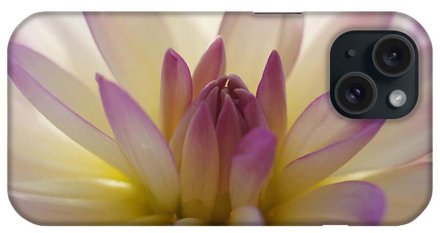 Nature iPhone Case featuring the photograph Dahlia 1 by Rudi Prott