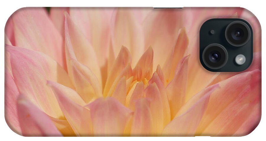 Nature iPhone Case featuring the photograph Dahlia 10 by Rudi Prott