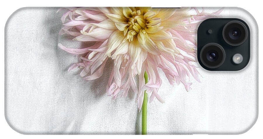  iPhone Case featuring the photograph Dahlia #2 by Louise Kumpf