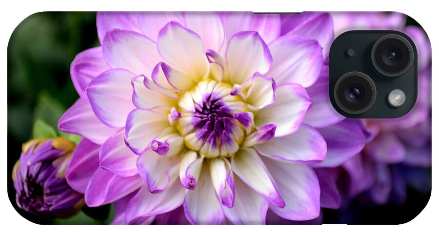 Art iPhone Case featuring the photograph Dahlia Flower with Purple Tips by Scott Lyons