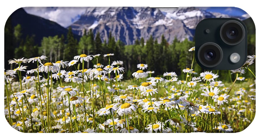 Daisies iPhone Case featuring the photograph Daisies at Mount Robson by Elena Elisseeva