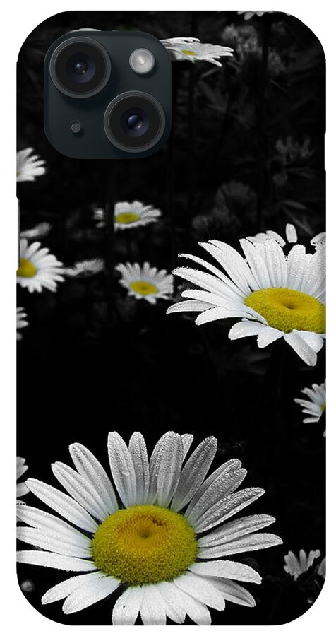 Daisy iPhone Case featuring the photograph Daisies by Gary Blackman