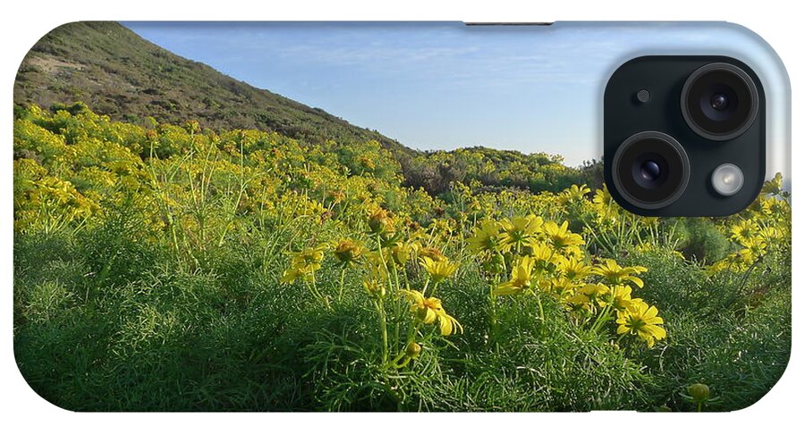 Daisy iPhone Case featuring the photograph Daisy Field by Nora Boghossian