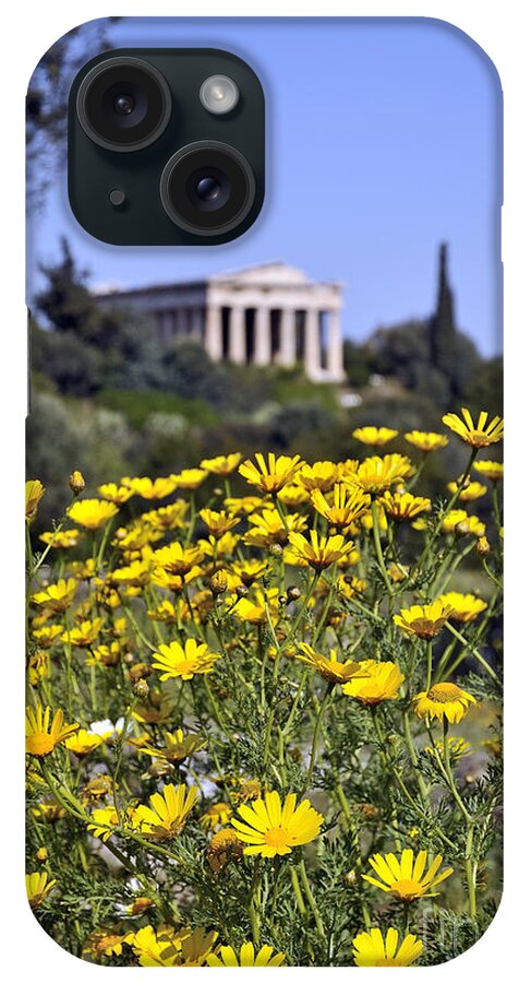 Chrysanthemum Coronarium; Glebionis Coronaria; Crown Daisy; Daisy; Daisies; Yellow; Flower; Wild; Plant; Spring; Print; Photograph; Photography; Ancient Market; Athens; Greece; Hellas; Temple; Hephaestus; Blue; Sky; Antiquity; Springtime; Season; Nature; Natural; Natural Environment; Natural World; Flora; Bloom; Blooming; Blossom; Blossoming; Color; Colour; Colorful; Colourful; Earth; Country; Landscape; Countryside; Scenery; Macro; Close-up; Flowers iPhone Case featuring the photograph Daisy flowers in Ancient Market by George Atsametakis