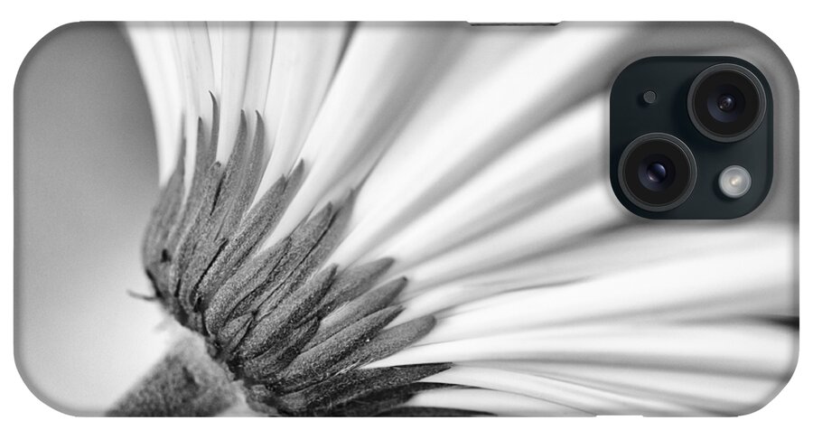 Black And White iPhone Case featuring the photograph Daisy Noir by Christi Kraft