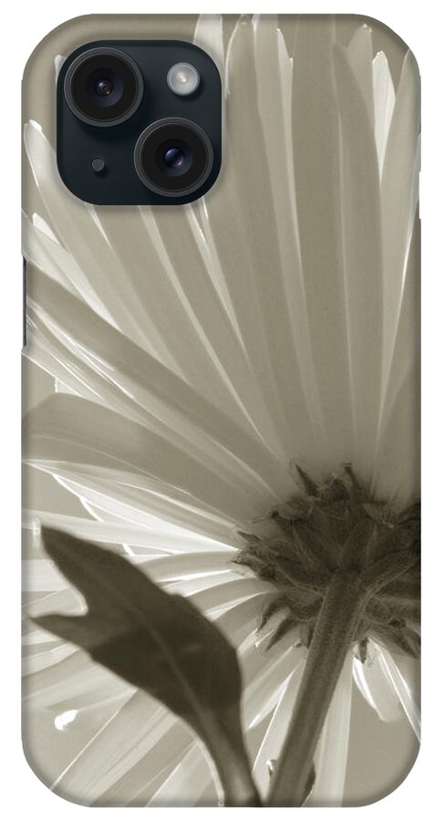 Flowers iPhone Case featuring the photograph Daisy Sepia Abstract by Joseph Hedaya